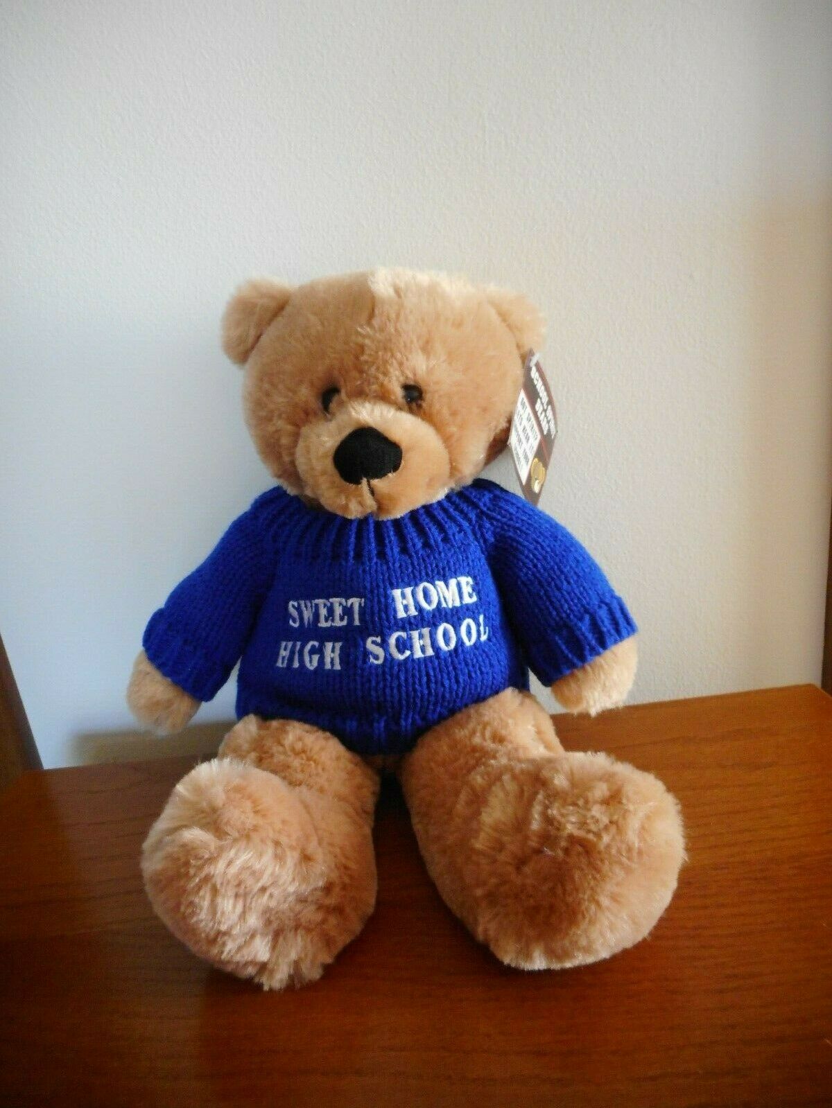 Sweet Home High School Plush 15" School Spirit Bear With Blue Sweater, Nwt